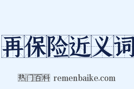 再保险近义词是什么意思的图片